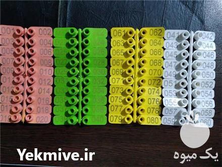 فروش پلاک گوش گوسفند در تهران در گروه تجهیزات دام و طیور - خرید فروش نو دسته دوم در یکمیوه -عکس1