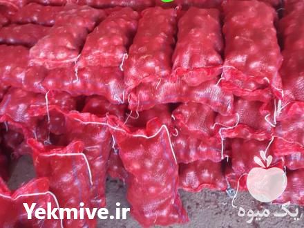 خرید و فروش پیاز قرمز و زرد در بناب در گروه خرید فروش عمده پیاز - قرمز سفید زرد ترشی تازه انباری در یکمیوه -عکس1