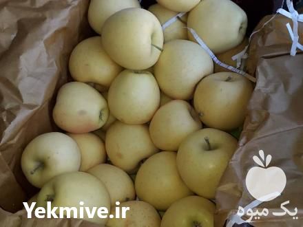 خرید و فروش سیب قرمز و سیب زرد در مراغه در گروه خرید فروش عمده سیب - زرد و قرمز گلاب پاییزه در یکمیوه -عکس1