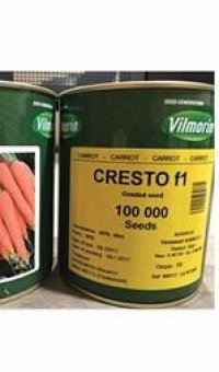 قیمت بذر هویج ویلمورین کریستو در تهران در گروه خرید فروش بذر - انواع محصول کشاورزی گوجه کتان میوه درخت در یکمیوه