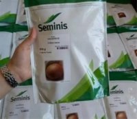 قیمت فروش بذر پیاز سمینس در تهران در گروه خرید فروش بذر - انواع محصول کشاورزی گوجه کتان میوه درخت در یکمیوه