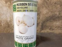 قیمت فروش بذر پیاز وایت گرانو در یزد در گروه خرید فروش بذر - انواع محصول کشاورزی گوجه کتان میوه درخت در یکمیوه