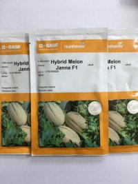 قیمت بذر خربزه جانا در بندرعباس در گروه خرید فروش بذر - انواع محصول کشاورزی گوجه کتان میوه درخت در یکمیوه