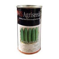 بذر خیار سوپر یو اس اگریسید در بابلسر در گروه خرید فروش بذر - انواع محصول کشاورزی گوجه کتان میوه درخت در یکمیوه