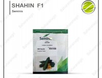 قیمت بذر خیار شاهین در سمنان در گروه خرید فروش بذر - انواع محصول کشاورزی گوجه کتان میوه درخت در یکمیوه