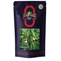 قیمت بذر خیار گلخانه ای سالار در مشهد در گروه خرید فروش بذر - انواع محصول کشاورزی گوجه کتان میوه درخت در یکمیوه