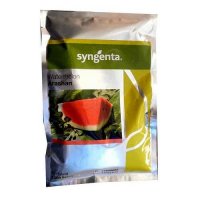 قیمت بذر هندوانه آراشان در رشت در گروه خرید فروش بذر - انواع محصول کشاورزی گوجه کتان میوه درخت در یکمیوه