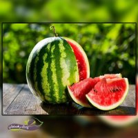 قیمت فروش بذر هندوانه استارپلاس در کرج در گروه خرید فروش بذر - انواع محصول کشاورزی گوجه کتان میوه درخت در یکمیوه