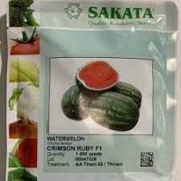 قیمت بذر هندوانه روبی رز در تهران در گروه خرید فروش بذر - انواع محصول کشاورزی گوجه کتان میوه درخت در یکمیوه