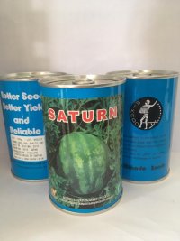 بذر هندوانه سوپرستار میکادو در تهران در گروه خرید فروش بذر - انواع محصول کشاورزی گوجه کتان میوه درخت در یکمیوه