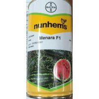 قیمت بذر هندوانه مونتانا در لاهیجان در گروه خرید فروش بذر - انواع محصول کشاورزی گوجه کتان میوه درخت در یکمیوه