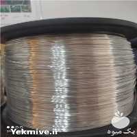 فروش سیم پلی استر ترک در تهران در گروه خرید فروش عمده انواع گل - پروش قاشقی موسی ساکولنت بن سای در یکمیوه