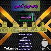 فروش پلاک گوش ادمکی گوسفندی در تهران در گروه تجهیزات دام و طیور - خرید فروش نو دسته دوم در یکمیوه