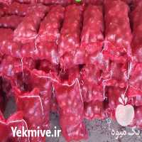 خرید و فروش پیاز قرمز و زرد در بناب در گروه خرید فروش عمده پیاز - قرمز سفید زرد ترشی تازه انباری در یکمیوه