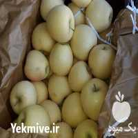 خرید و فروش سیب قرمز و سیب زرد در مراغه در گروه خرید فروش عمده سیب - زرد و قرمز گلاب پاییزه در یکمیوه