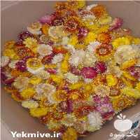 خرید و فروش گل مینا خشک در تهران در گروه خرید فروش عمده گیاهان دارویی - معطر خشک خواص دار در یکمیوه