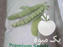 فروش بذر نخود فرنگی در خان ببین در گروه خرید فروش بذر - انواع محصول کشاورزی گوجه کتان میوه درخت در یکمیوه -عکس1