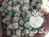 فروش بذر نخود فرنگی در آق قلا در گروه خرید فروش بذر - انواع محصول کشاورزی گوجه کتان میوه درخت در یکمیوه -عکس1