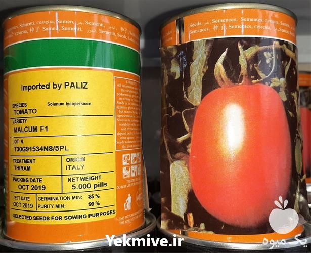 فروش بذر گوجه فرنگی هیبرید مالکوم در تهران در گروه خرید فروش بذر - انواع محصول کشاورزی گوجه کتان میوه درخت در یکمیوه -عکس1