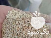 فروش پوست پسته اسیاب شده در کرمان  در گروه پسته - کوهی شامی خام اکبری تازه کله قوچی در یکمیوه -عکس1