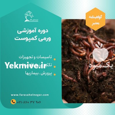 صفر تا صد ورمی کمپوست در تهران در گروه مشاوره - راه اندازی بازاریابی کسب درآمد بهبود کسب و کار در یکمیوه -عکس1
