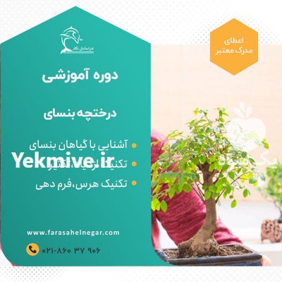 دوره آموزش بنسای در تهران در گروه سایر خدمات - حوزه محصولات کشاورزی و دامپروری در یکمیوه -عکس1