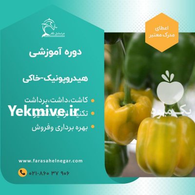 دوره آموزش گلخانه هیدروپونیک در تهران در گروه مشاوره - راه اندازی بازاریابی کسب درآمد بهبود کسب و کار در یکمیوه -عکس1