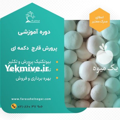 دوره آموزشی قارچ دکمه ای در تهران در گروه مشاوره - راه اندازی بازاریابی کسب درآمد بهبود کسب و کار در یکمیوه -عکس1
