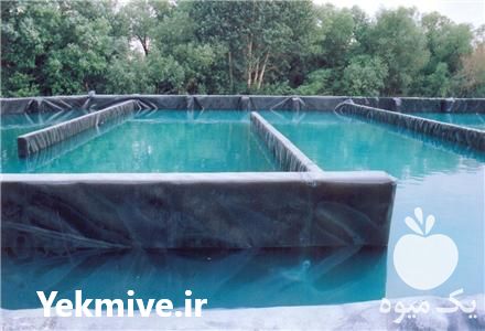 فروش استخر کشاورزی در تهران در گروه خرید فروش انواع پوشش ها و ورق ها - پلی استر پلی کربنات نایلون در یکمیوه -عکس1