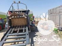 فروش بیلر کلاس 3200 در اردبیل در گروه خرید فروش ماشین آلات کشاورزی - تراکتور تیلر کمباین مدرن در یکمیوه -عکس1
