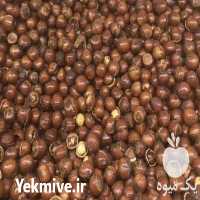 فروش فندق ترک و نمکی دیلمان پیرکوه در گیلان در گروه خرید فروش عمده فندق - میوه تازه خام تیره عمده فروشی در یکمیوه