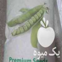 فروش بذر نخود فرنگی در خان ببین در گروه خرید فروش بذر - انواع محصول کشاورزی گوجه کتان میوه درخت در یکمیوه