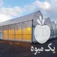 فروش سازه گلخانه در کرج در گروه خرید فروش تجهیزات گلخانه - صنعتی خانگی هوشمند دست دوم در یکمیوه