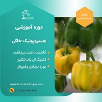 دوره آموزش گلخانه هیدروپونیک در تهران در گروه مشاوره - راه اندازی بازاریابی کسب درآمد بهبود کسب و کار در یکمیوه