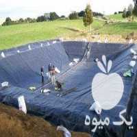 فروش احداث استخر کشاورزی با ورق پلی اتیلنی ورق ژئوممبران در تهران در گروه خرید فروش انواع پوشش ها و ورق ها - پلی استر پلی کربنات نایلون در یکمیوه