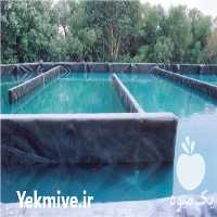 فروش استخر کشاورزی در تهران در گروه خرید فروش انواع پوشش ها و ورق ها - پلی استر پلی کربنات نایلون در یکمیوه