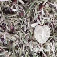 فروش خارشتر کوبیده شده در نگین شهر در گروه خوراک دام و طیور - پرواری شیری علوفه یونجه در یکمیوه