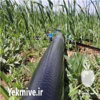 فروش لوله نخدار مشکی در اصفهان در گروه خرید فروش اتصالات و تجهیزات آبیاری - شیر لوله نوار در یکمیوه