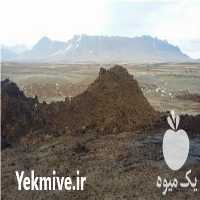 فروش کود گاوی و مرغ گوشتی و تخم گذار در مشهد در گروه خرید فروش کود و مواد شیمیایی - اوره پتاس مرغی کمپوست آهن در یکمیوه