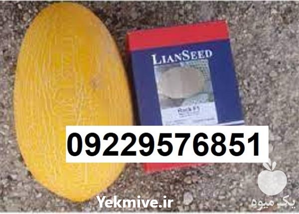 عرضه بذر خربزه راک پر فروش اصل در بوشهر در گروه خرید فروش بذر - انواع محصول کشاورزی گوجه کتان میوه درخت در یکمیوه -عکس1