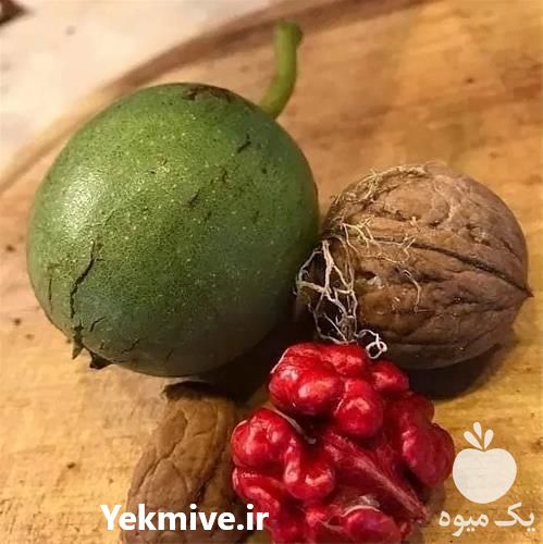 فروش نهال گردو قرمز با کیفیت بالا و باردهی مناسب در خراسان رضوی در گروه خرید فروش نهال - انواع گردو پسته بادام سلطانی انگور در یکمیوه -عکس1