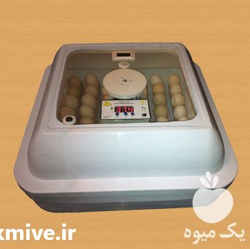 فروش دستگاه جوجه کشی در ارومیه در گروه تجهیزات دام و طیور - خرید فروش نو دسته دوم در یکمیوه -عکس1