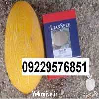 عرضه بذر خربزه راک پر فروش اصل در بوشهر در گروه خرید فروش بذر - انواع محصول کشاورزی گوجه کتان میوه درخت در یکمیوه