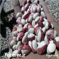 فروش لوبیا عروس یا دو رنگ در اقلید در گروه خرید فروش عمده غلات و حبوبات - لپه عدس نخود لوبیا در یکمیوه