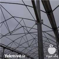 فروش گلخانه های مدرن اسپانیایی در مشهد در گروه خرید فروش تجهیزات گلخانه - صنعتی خانگی هوشمند دست دوم در یکمیوه