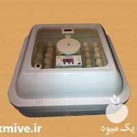 فروش دستگاه جوجه کشی در ارومیه در گروه تجهیزات دام و طیور - خرید فروش نو دسته دوم در یکمیوه