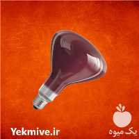 فروش ویژه لامپ مادون قرمز در اصفهان در گروه خرید فروش تجهیزات گلخانه - صنعتی خانگی هوشمند دست دوم در یکمیوه