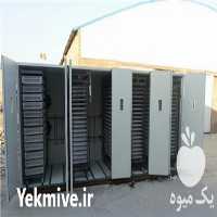 فروش دستگاه جوجه کشی صنعتی کانسپت در اصفهان در گروه تجهیزات دام و طیور - خرید فروش نو دسته دوم در یکمیوه