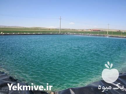 فروش ورق ژئوممبران در تهران در گروه خرید فروش انواع پوشش ها و ورق ها - پلی استر پلی کربنات نایلون در یکمیوه -عکس1