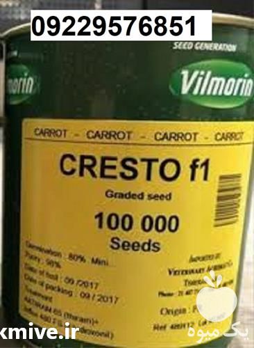 فروش بذر هویج کریستو ویلمورین در کرمان  در گروه خرید فروش بذر - انواع محصول کشاورزی گوجه کتان میوه درخت در یکمیوه -عکس1